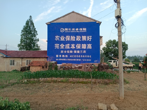 隆回墙体广告的优劣势你知道吗？