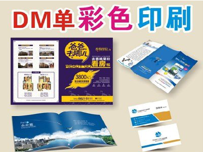 隆回单页印刷,色彩搭配简单。